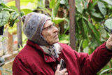 Lamberton Conservatory